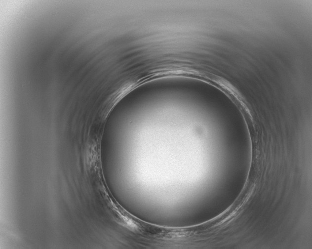 X0000059241385200510211551