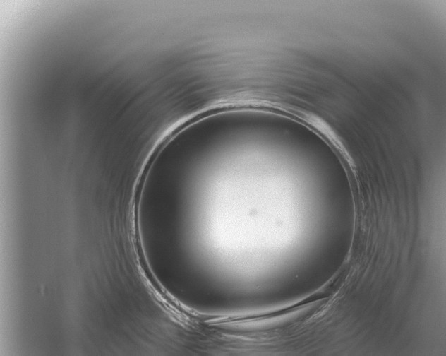 X0000059241388200510211551