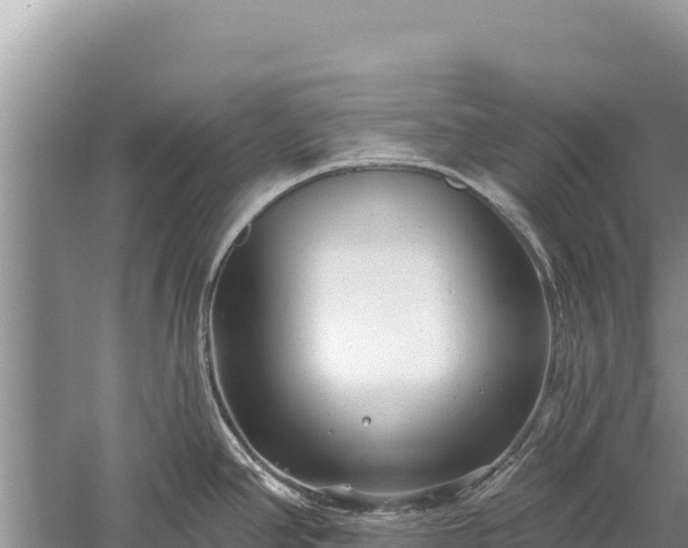 X0000059241390200510211551