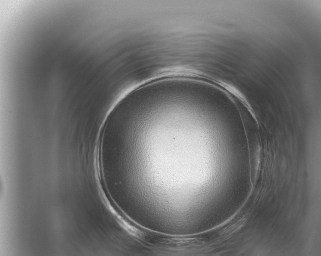 X0000059241391200510211551