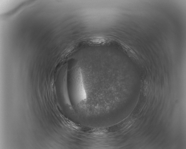 X0000059241394200510211550