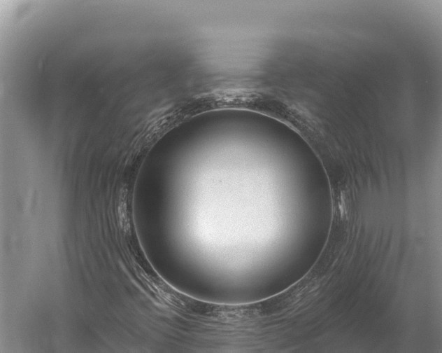 X0000059241396200510211550