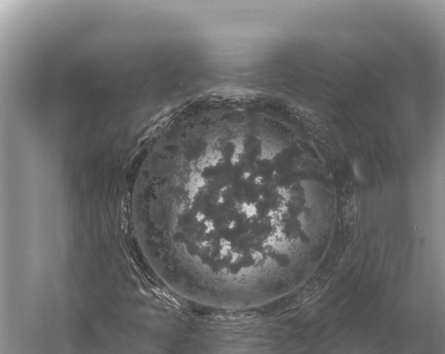 X0000059241397200510211550