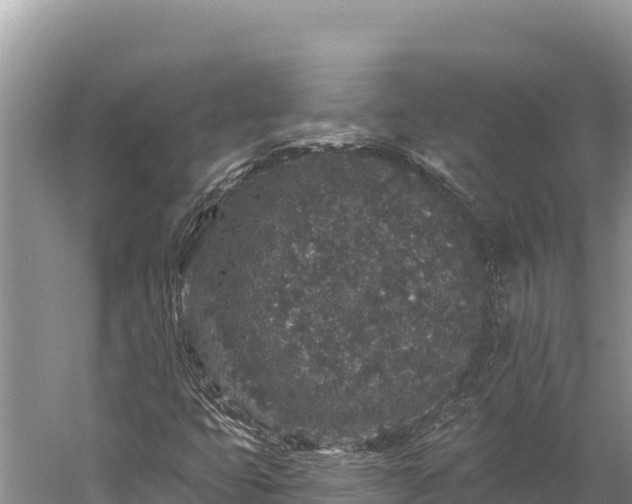 X0000059241399200510211550