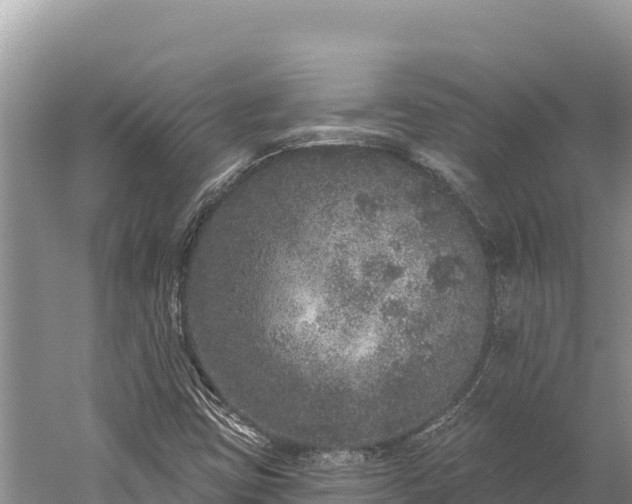 X0000059241403200510211550