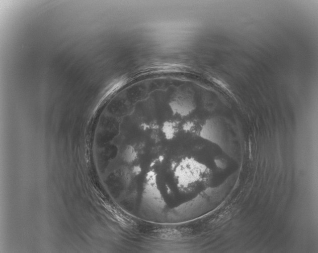 X0000059241405200510211550