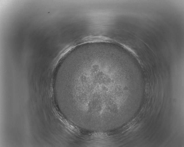 X0000059241407200510211550