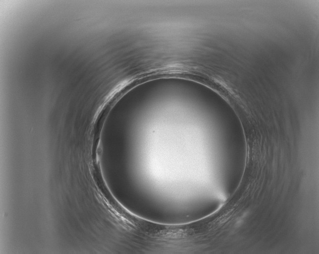 X0000059241410200510211550