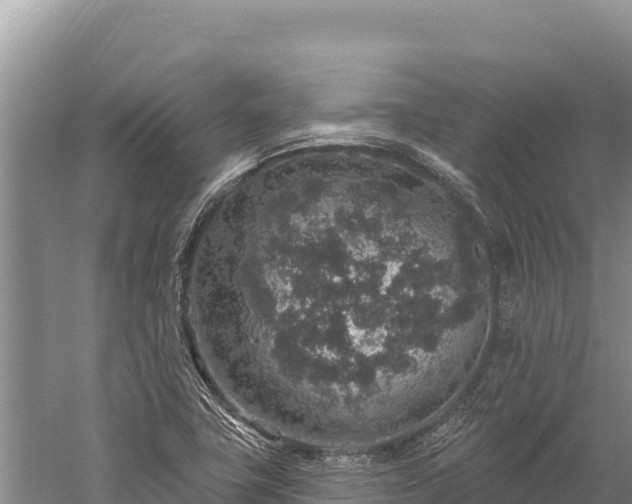 X0000059241411200510211550