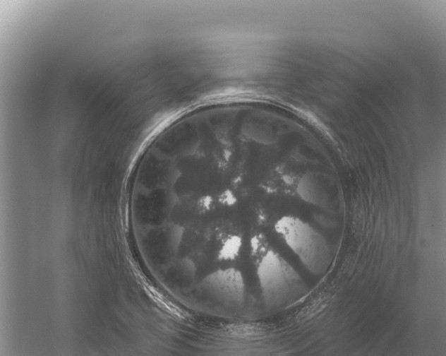 X0000059241413200510211550