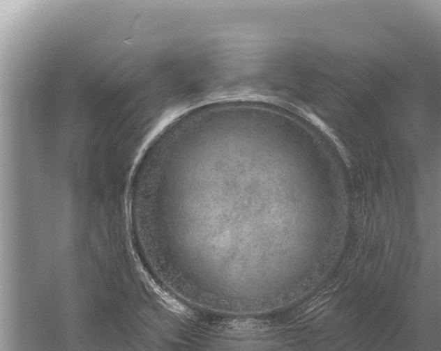 X0000059241416200510211550