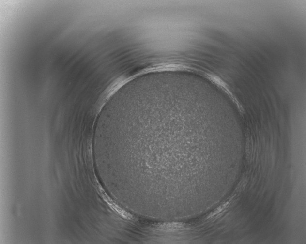 X0000059241417200510211550