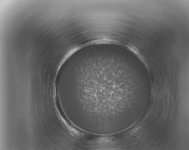 X0000059241418200510211550