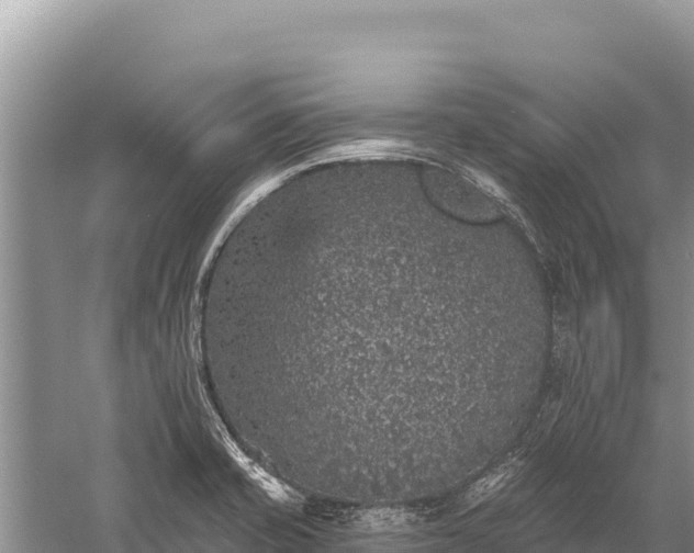 X0000059241421200510211550