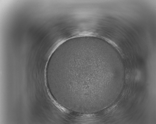 X0000059241423200510211550