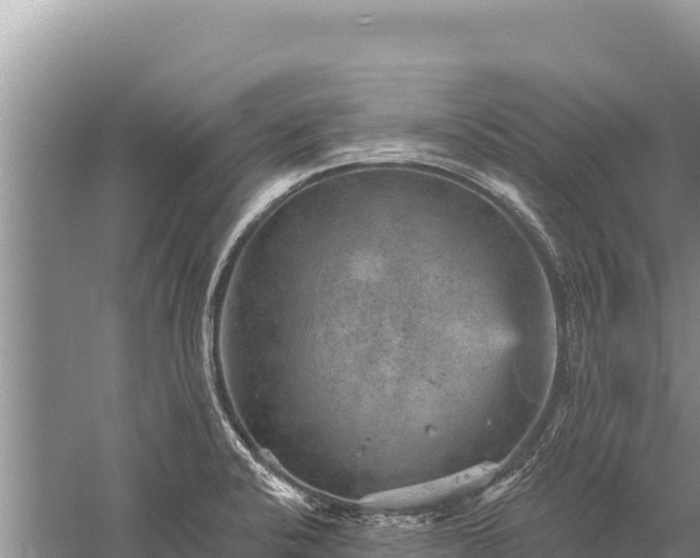 X0000059241424200510211550