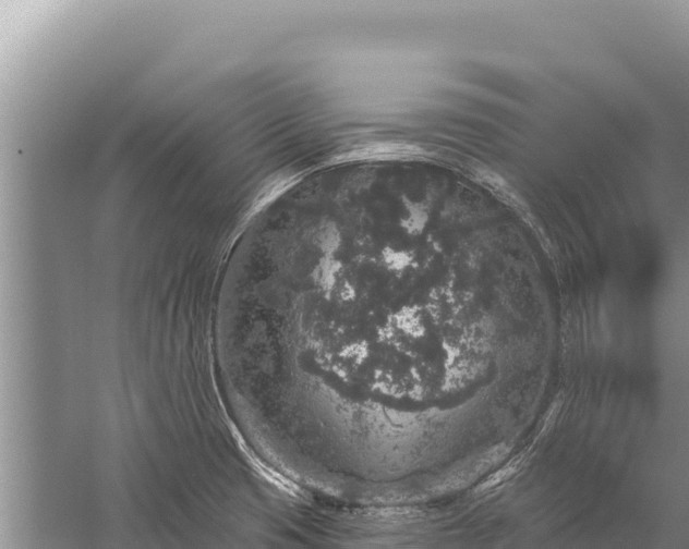 X0000059241425200510211550