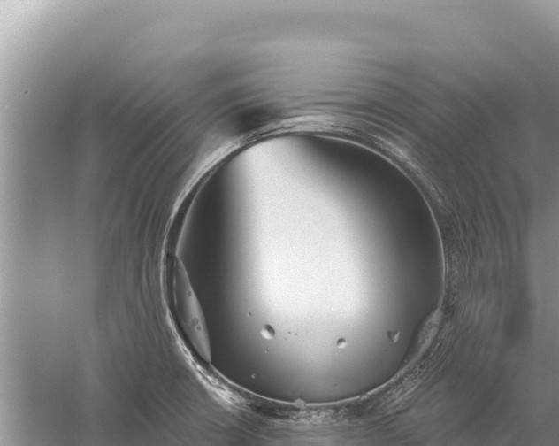 X0000059241426200510211550