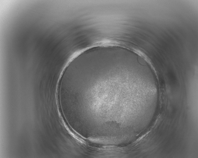 X0000059241429200510211550