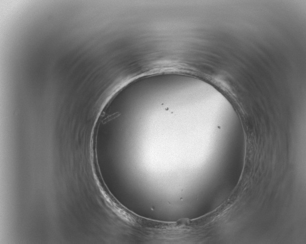 X0000059241431200510211550