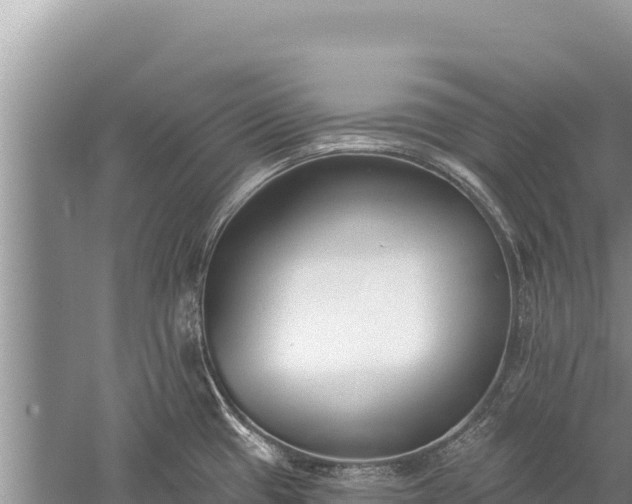 X0000059241433200510211550