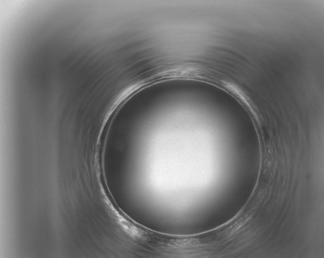 X0000059241434200510211550