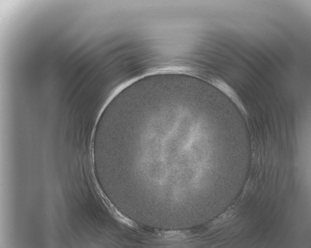 X0000059241436200510211550