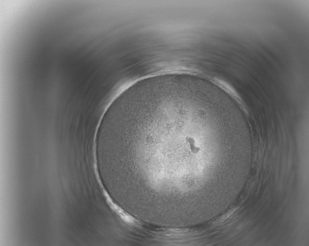 X0000059241439200510211551