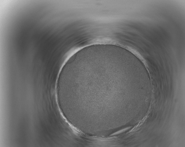 X0000059241440200510211551