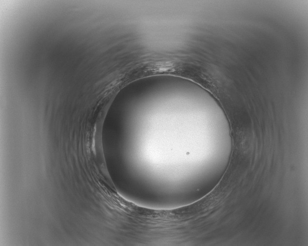 X0000059241442200510211550