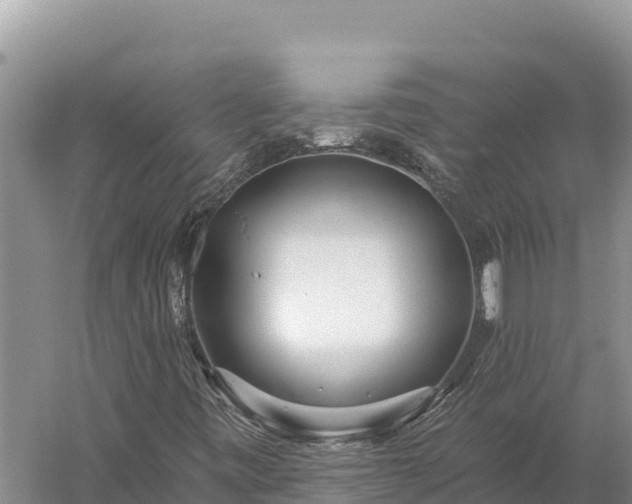 X0000059241443200510211550