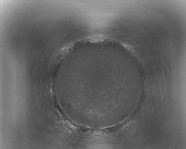 X0000059241445200510211550