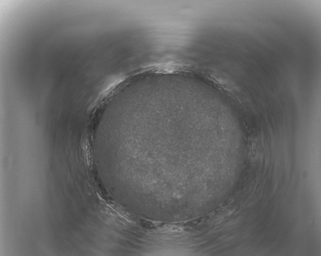 X0000059241446200510211550