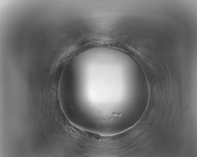 X0000059241447200510211550