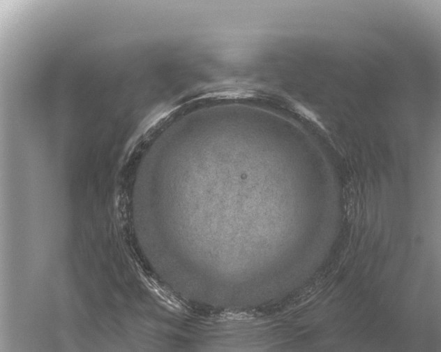 X0000059241448200510211550