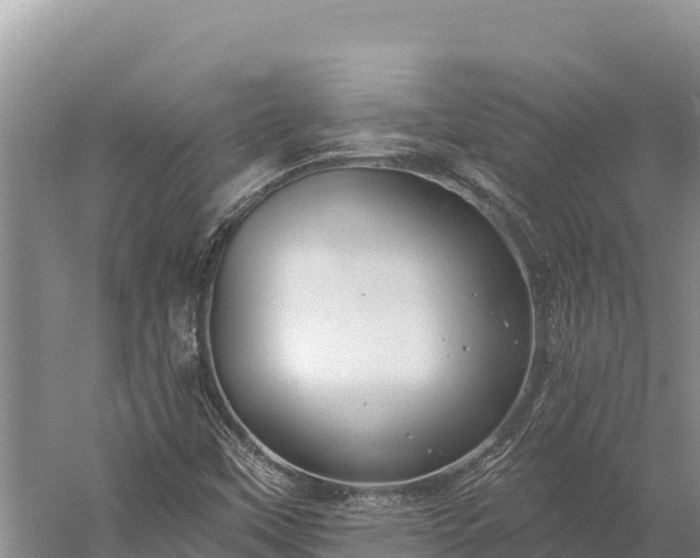 X0000059241451200510211550