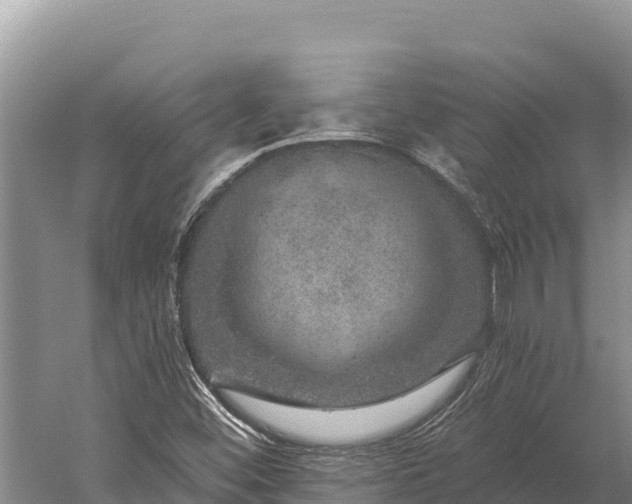 X0000059241452200510211550