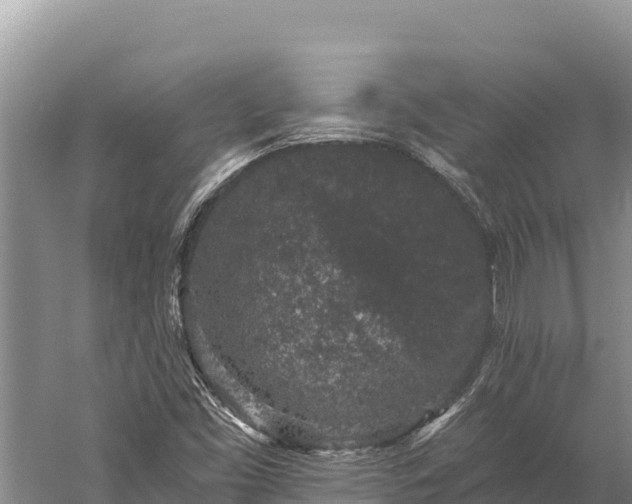 X0000059241453200510211550