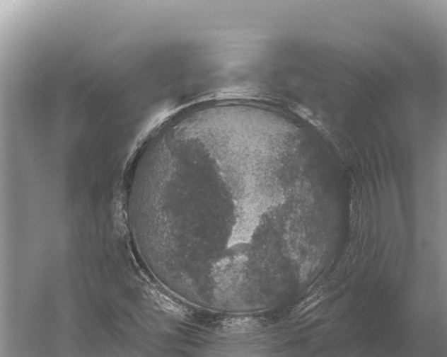 X0000059241454200510211550