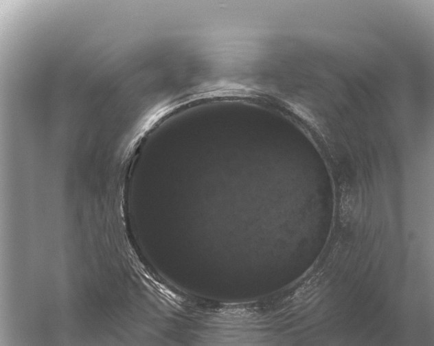 X0000059241455200510211550