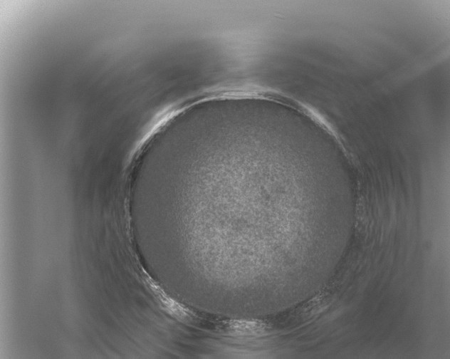 X0000059241456200510211549