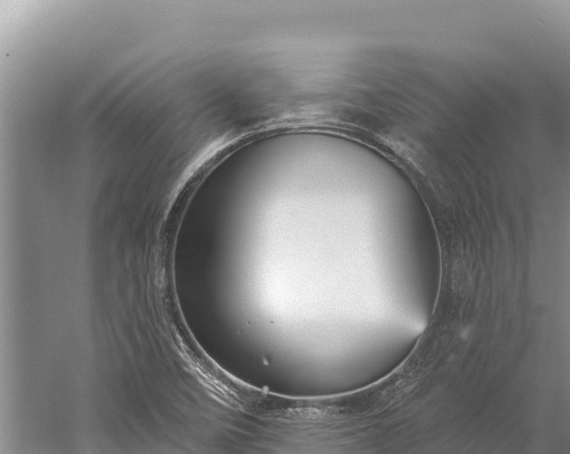 X0000059241458200510211549