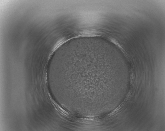 X0000059241459200510211549