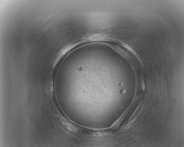 X0000059241461200510211549