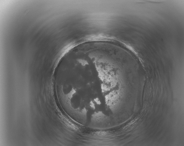 X0000059241463200510211549