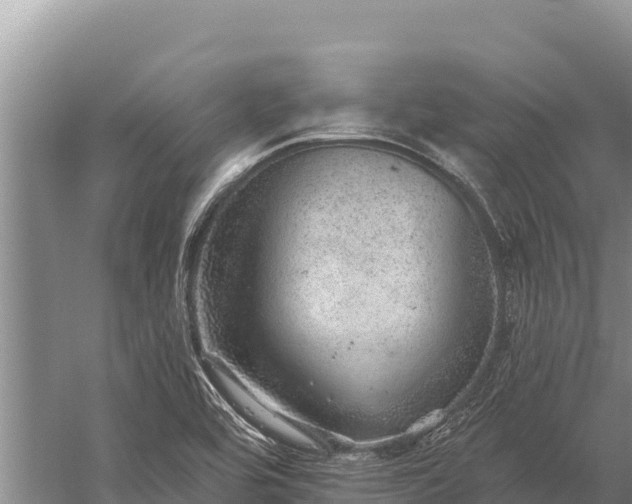 X0000059241464200510211549