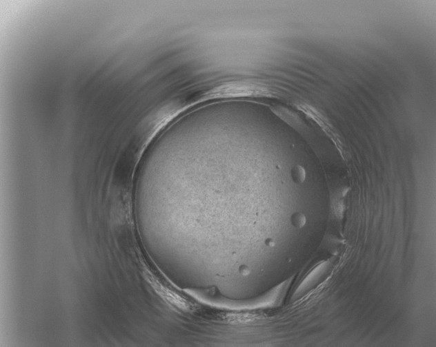 X0000059241465200510211549