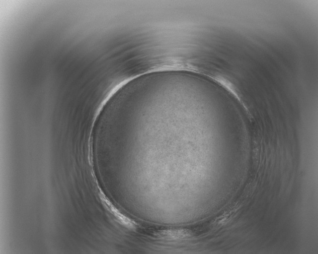 X0000059241468200510211549