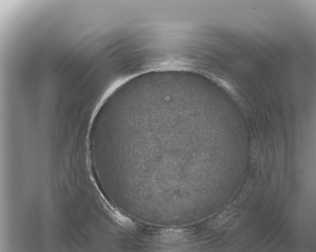 X0000059241470200510211549