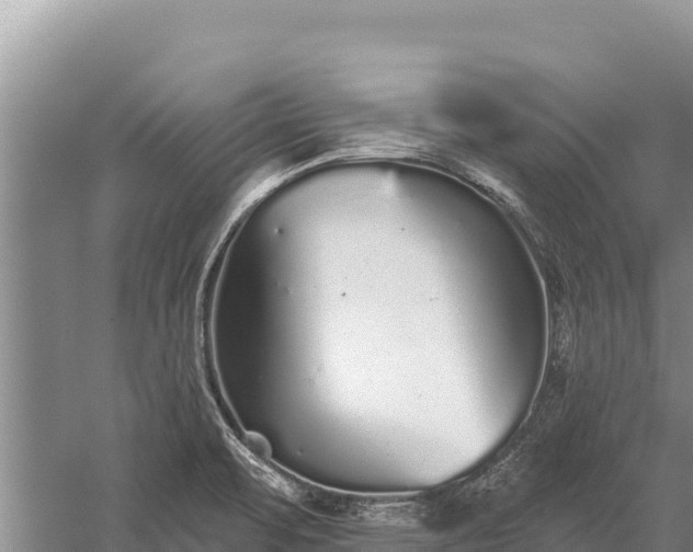 X0000059241471200510211549